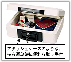セントリー1160