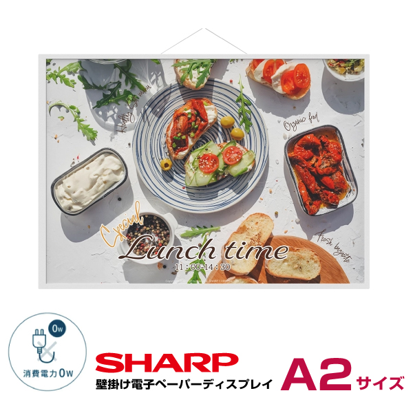 予約受付(2026年1月下旬入荷予定) シャープ カラー電子ペーパーディスプレイ A2サイズ EP-CA22 片面表示 本体 SHARP|デジタルサイネージ