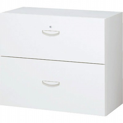 生興 RW45-207D 2段ラテラルキャビネット ホワイト (58915) (重量：41kg) 下置専用|整理ケース