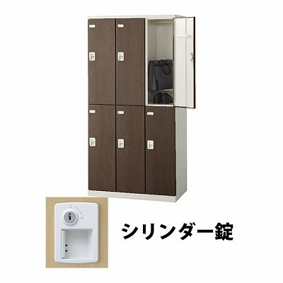 生興 SLBD-6-S2 3列2段6人用木目扉ロッカー シリンダー錠タイプ ウォールナット (72185) (重量：52kg)|ロッカー