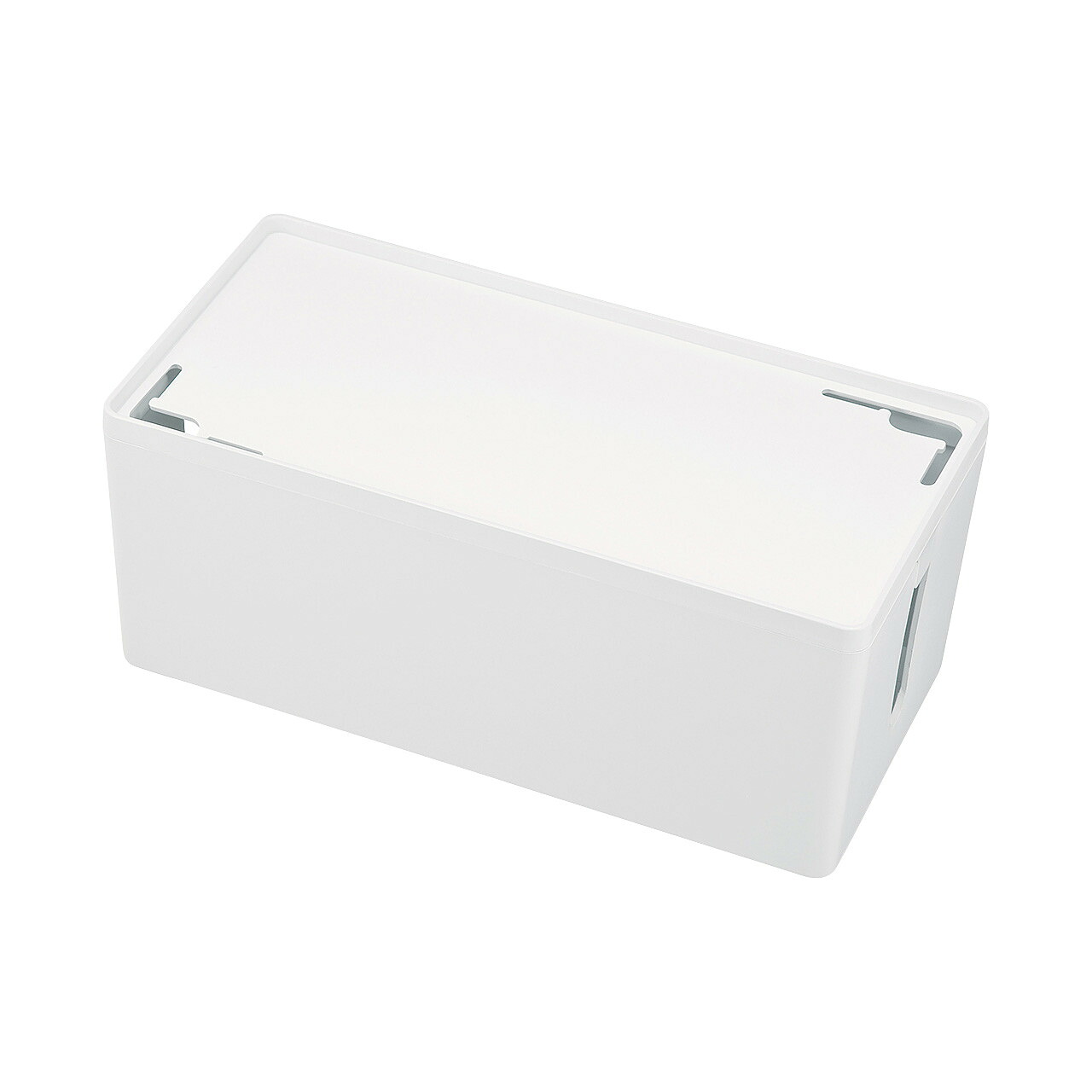サンワサプライ ケーブル&タップ収納ボックス (CB-BOXP2WN2)|その他店舗用品