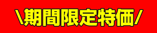 期間限定特価