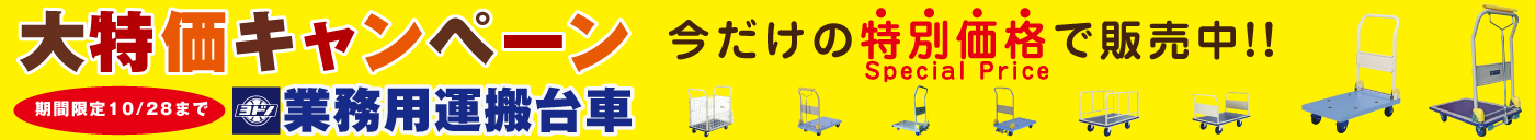 キャンペーン中