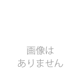 日本機器通販 / RICOH リコー SGカートリッジ イエロー GC41YH 純正品